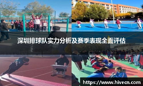 深圳排球队实力分析及赛季表现全面评估