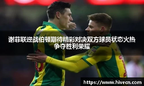 谢菲联迎战伯顿期待精彩对决双方球员状态火热争夺胜利荣耀